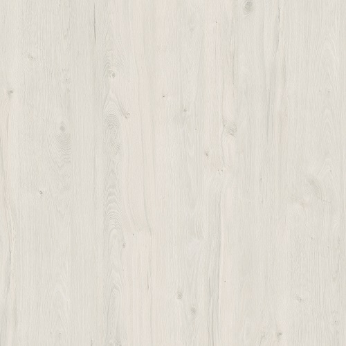 Дуб Наварра