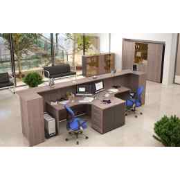 Ресепшен комбинация №5