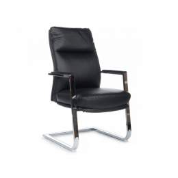 Кресло Riva Leon-SF RCH D916