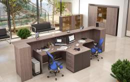 Ресепшен комбинация №5